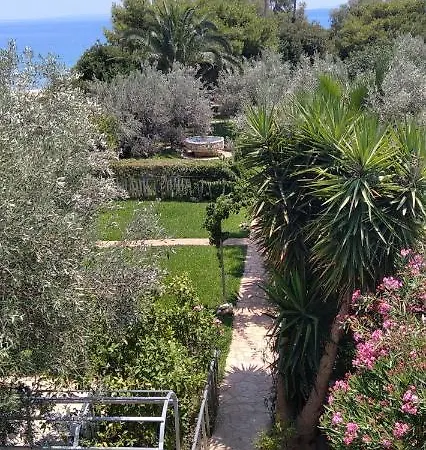Geranium By The Sea *