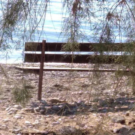 Geranium By The Sea